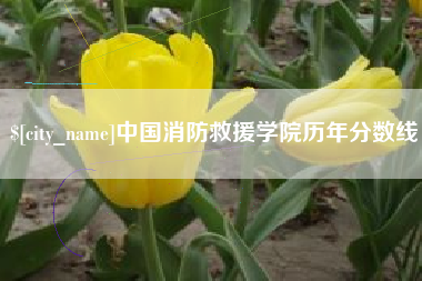 遵化市中国消防救援学院历年分数线