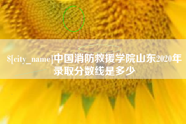 遵化市中国消防救援学院山东2020年录取分数线是多少
