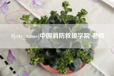 遵化市中国消防救援学院 老师