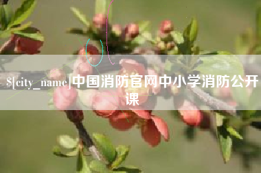 遵化市中国消防官网中小学消防公开课