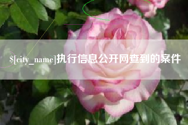 遵化市执行信息公开网查到的案件