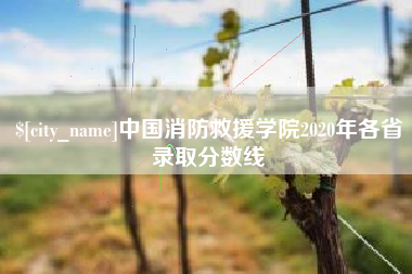 遵化市中国消防救援学院2020年各省录取分数线