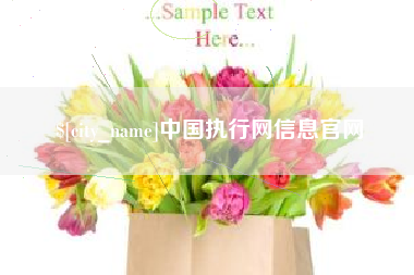 遵化市中国执行网信息官网