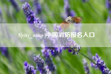 遵化市中国消防报名入口