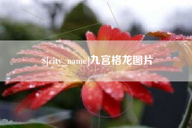 遵化市九宫格龙图片