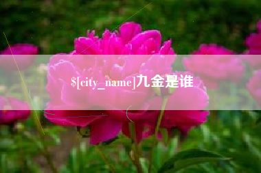 遵化市九金是谁