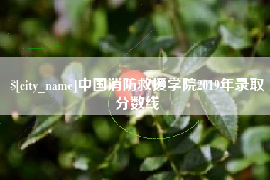 遵化市中国消防救援学院2019年录取分数线