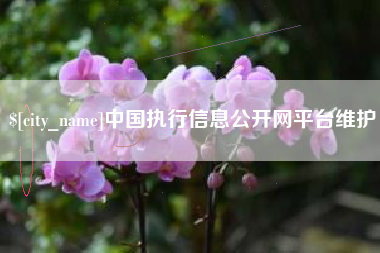 遵化市中国执行信息公开网平台维护