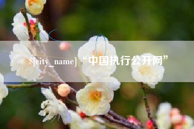 遵化市“中国执行公开网”