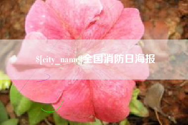 遵化市全国消防日海报