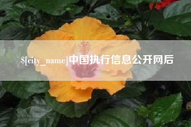 遵化市中国执行信息公开网后