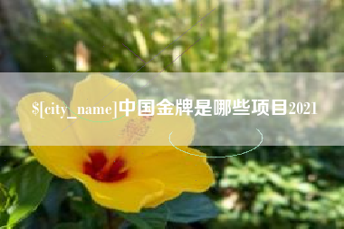 遵化市中国金牌是哪些项目2021