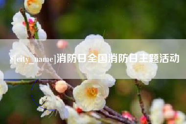 遵化市消防日全国消防日主题活动