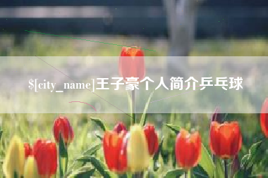 遵化市王子豪个人简介乒乓球