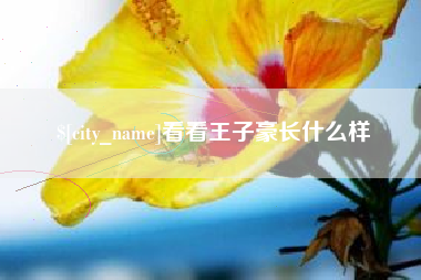 遵化市看看王子豪长什么样