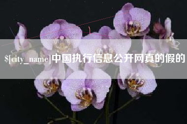 遵化市中国执行信息公开网真的假的