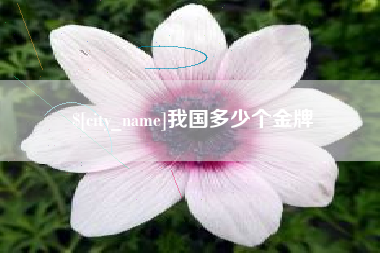 遵化市我国多少个金牌