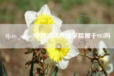 遵化市中国消防救援学院属于985吗