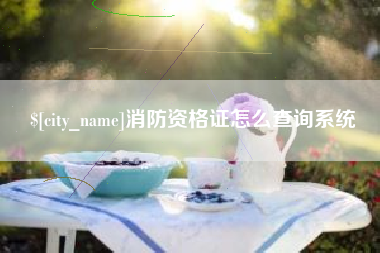 遵化市消防资格证怎么查询系统