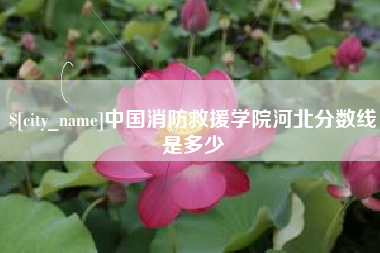 遵化市中国消防救援学院河北分数线是多少