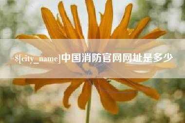 遵化市中国消防官网网址是多少