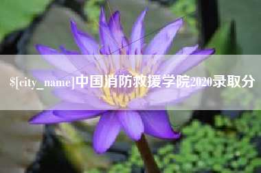遵化市中国消防救援学院2020录取分