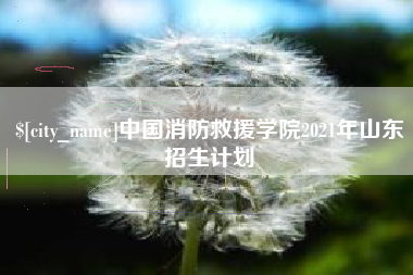 遵化市中国消防救援学院2021年山东招生计划