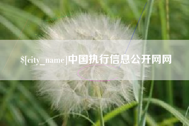 遵化市中国执行信息公开网网