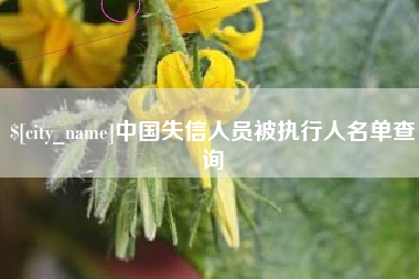 遵化市中国失信人员被执行人名单查询