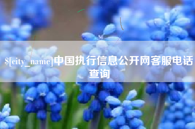 遵化市中国执行信息公开网客服电话查询