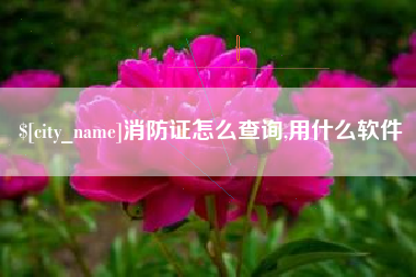 遵化市消防证怎么查询,用什么软件