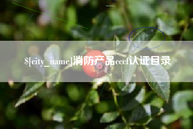 遵化市消防产品cccf认证目录