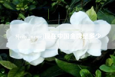 遵化市现在中国金牌是多少