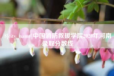 遵化市中国消防救援学院2020年河南录取分数线
