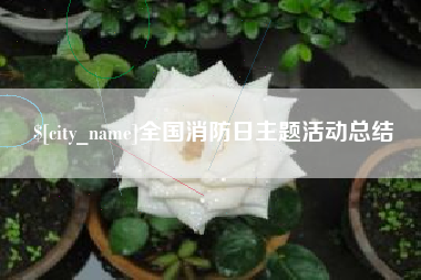 遵化市全国消防日主题活动总结