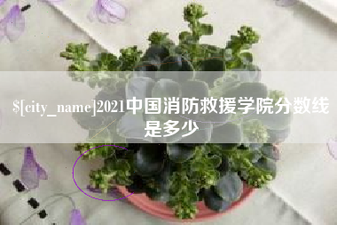 遵化市2021中国消防救援学院分数线是多少
