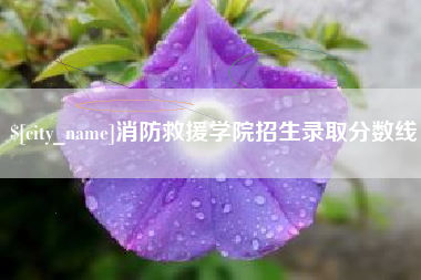 遵化市消防救援学院招生录取分数线