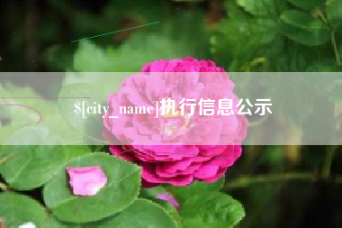 遵化市执行信息公示