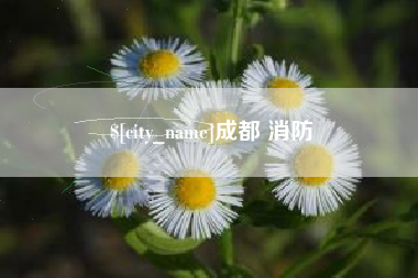 遵化市成都 消防