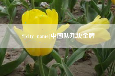 遵化市中国队九块金牌