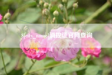 遵化市消控证官网查询