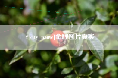 遵化市金牌图片真实