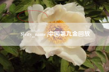 遵化市中国第九金回放
