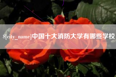 遵化市中国十大消防大学有哪些学校