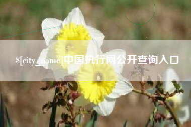 遵化市中国执行网公开查询入口