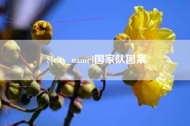 遵化市国家队图案