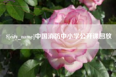 遵化市中国消防中小学公开课回放