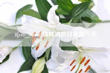 遵化市森林消防日是哪一天