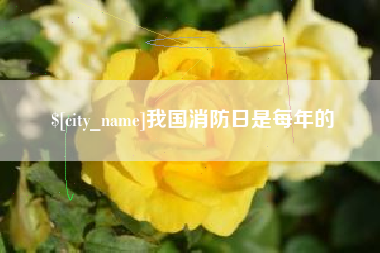 遵化市我国消防日是每年的