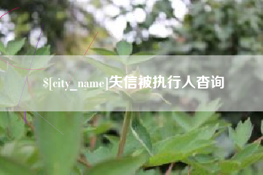 遵化市失信被执行人杳询